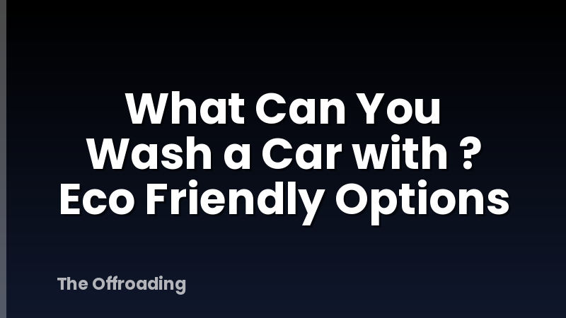 What Can You Wash a Car with ? Eco Friendly Options