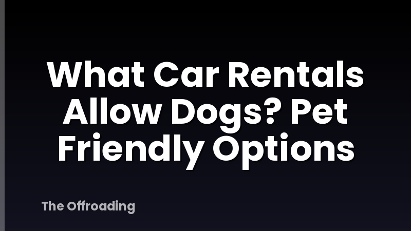What Car Rentals Allow Dogs? Pet Friendly Options