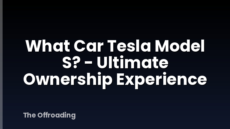 What Car Tesla Model S? - Ultimate Ownership Experience