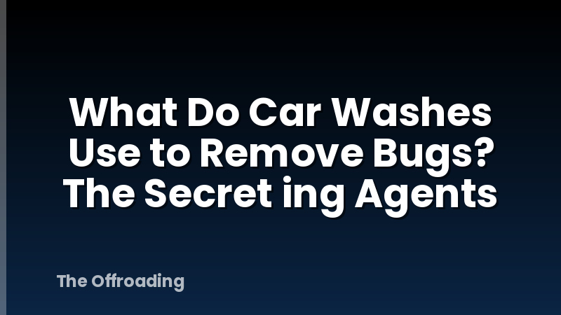 What Do Car Washes Use to Remove Bugs? The Secret ing Agents