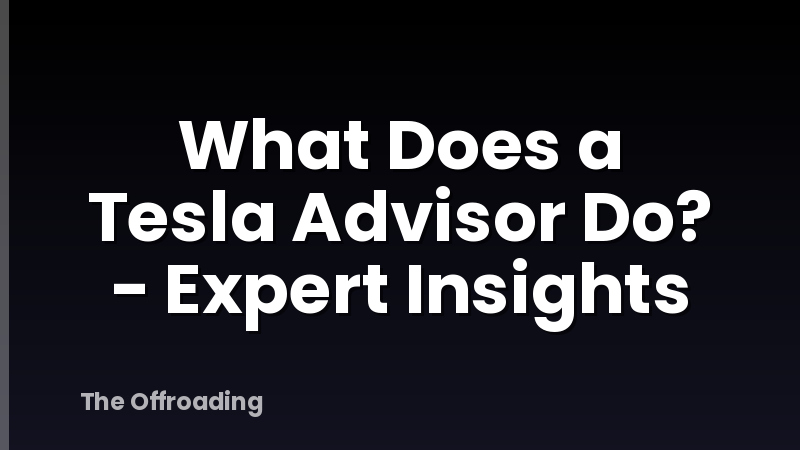 What Does a Tesla Advisor Do? - Expert Insights