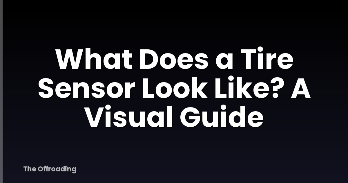 What Does a Tire Sensor Look Like? A Visual Guide