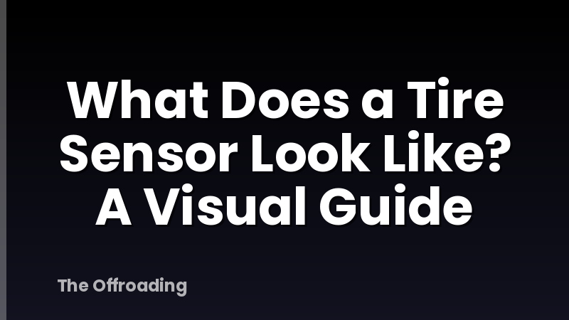 What Does a Tire Sensor Look Like? A Visual Guide