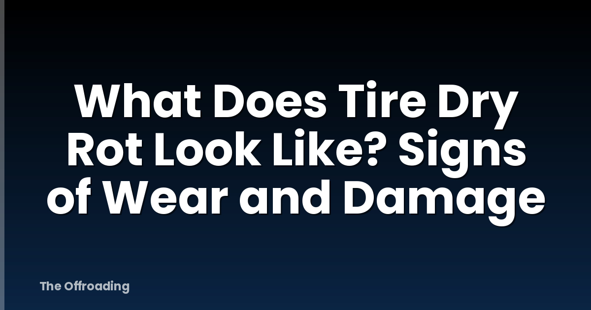 What Does Tire Dry Rot Look Like? Signs of Wear and Damage