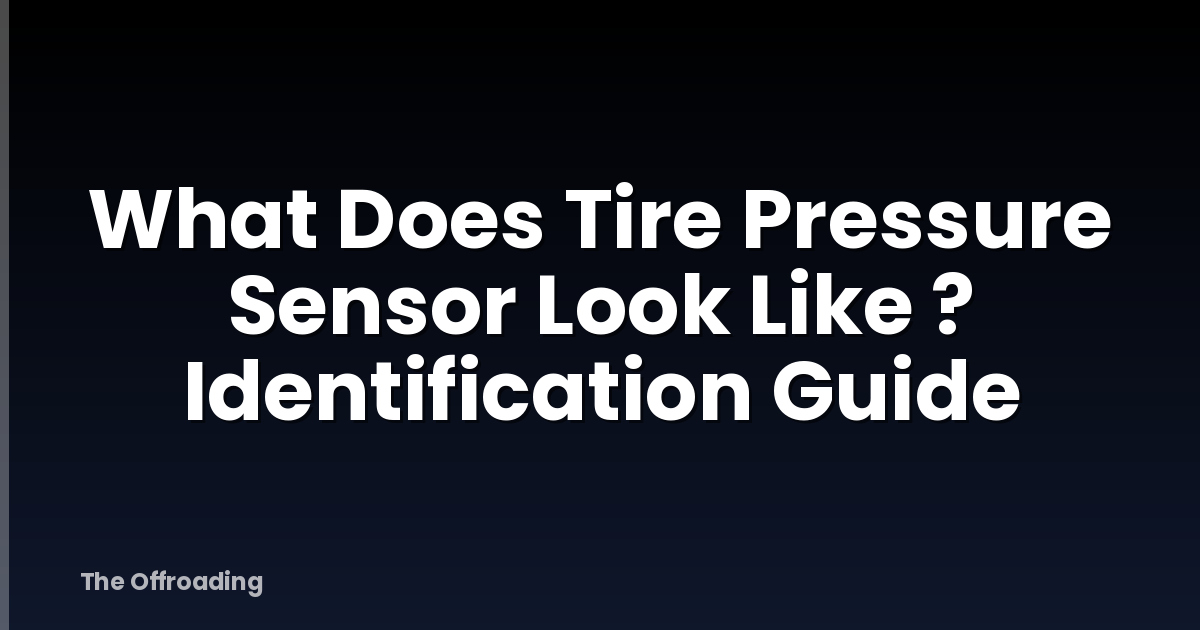 What Does Tire Pressure Sensor Look Like ? Identification Guide