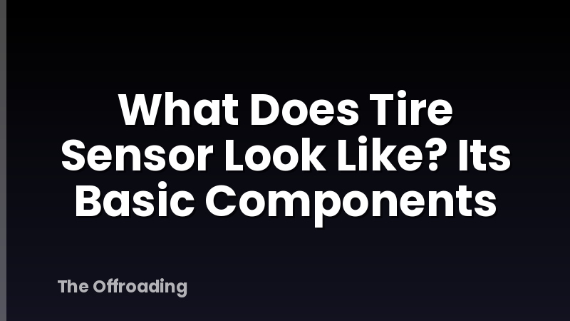 What Does Tire Sensor Look Like? Its Basic Components