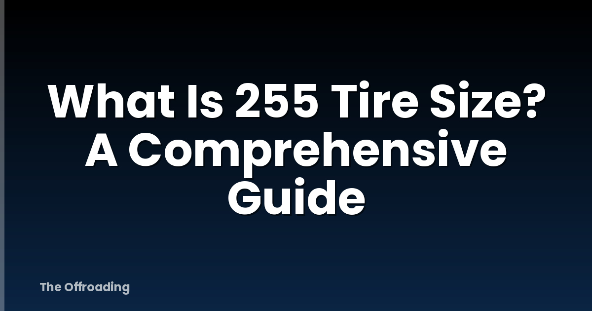 What Is 255 Tire Size? A Comprehensive Guide