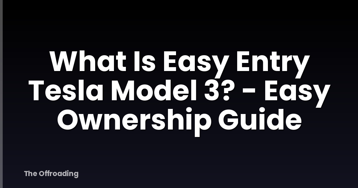 What Is Easy Entry Tesla Model 3? - Easy Ownership Guide