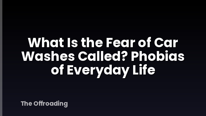 What Is the Fear of Car Washes Called? Phobias of Everyday Life