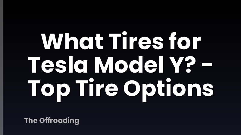 What Tires for Tesla Model Y? - Top Tire Options