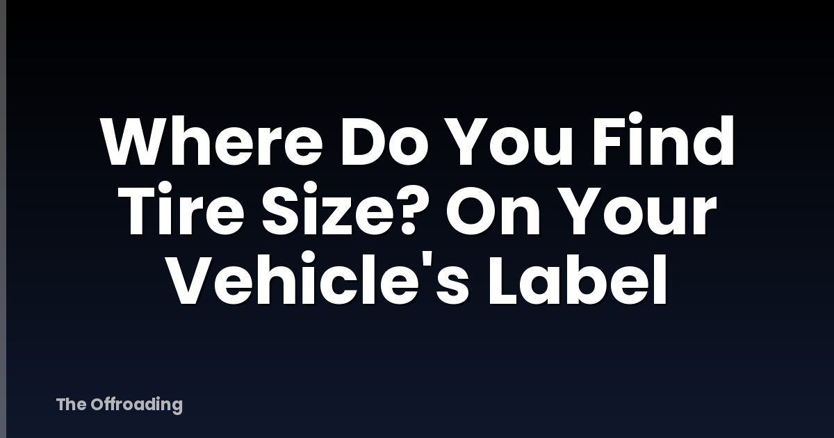 Where Do You Find Tire Size? On Your Vehicle's Label