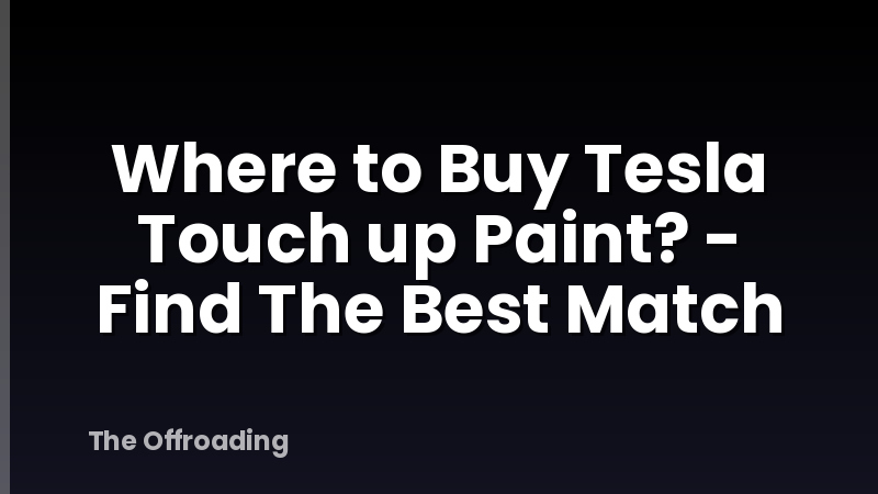 Where to Buy Tesla Touch up Paint? - Find The Best Match