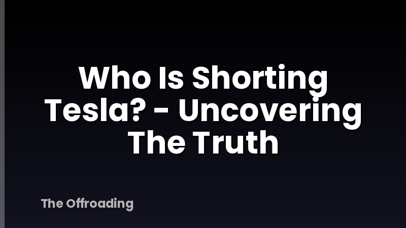 Who Is Shorting Tesla? - Uncovering The Truth