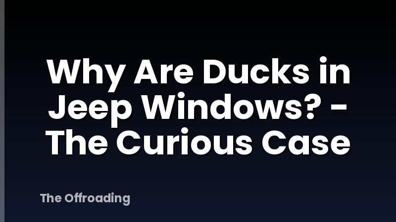 Why Are Ducks in Jeep Windows? - The Curious Case