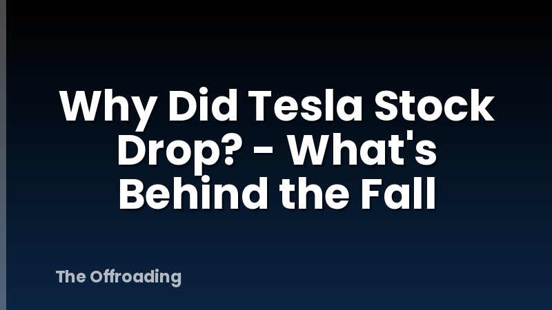 Why Did Tesla Stock Drop? - What's Behind the Fall