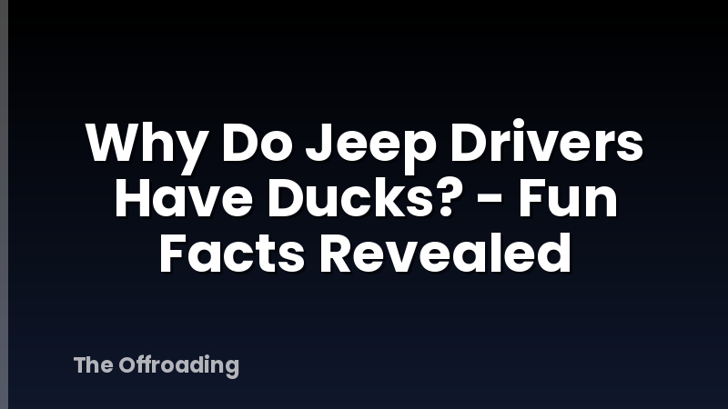 Why Do Jeep Drivers Have Ducks? - Fun Facts Revealed