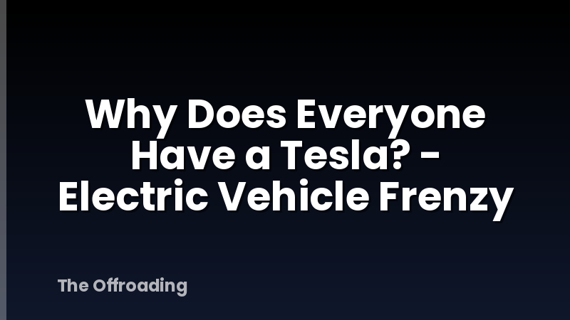 Why Does Everyone Have a Tesla? - Electric Vehicle Frenzy