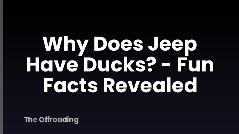 Why Does Jeep Have Ducks? - Fun Facts Revealed