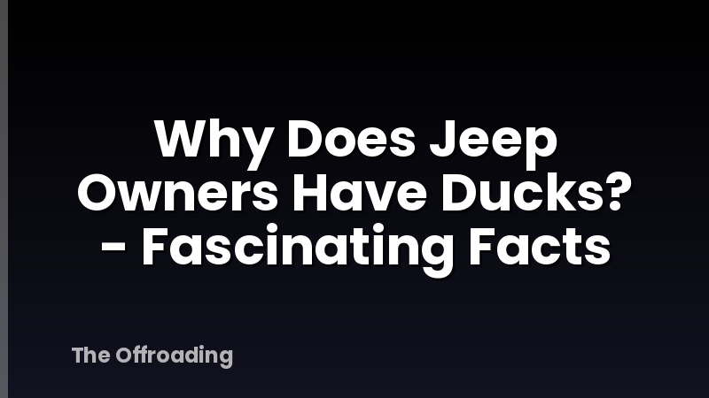 Why Does Jeep Owners Have Ducks? - Fascinating Facts
