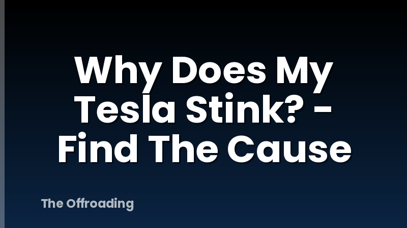 Why Does My Tesla Stink? - Find The Cause