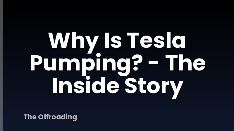 Why Is Tesla Pumping? - The Inside Story