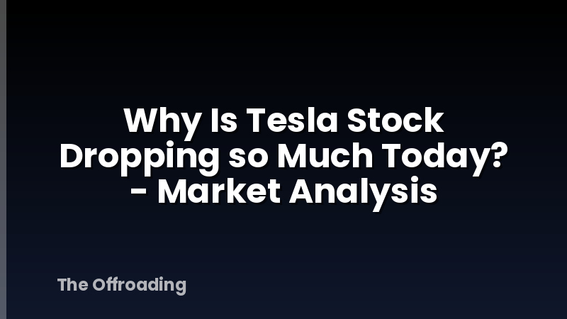 Why Is Tesla Stock Dropping so Much Today? - Market Analysis