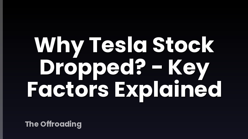 Why Tesla Stock Dropped? - Key Factors Explained